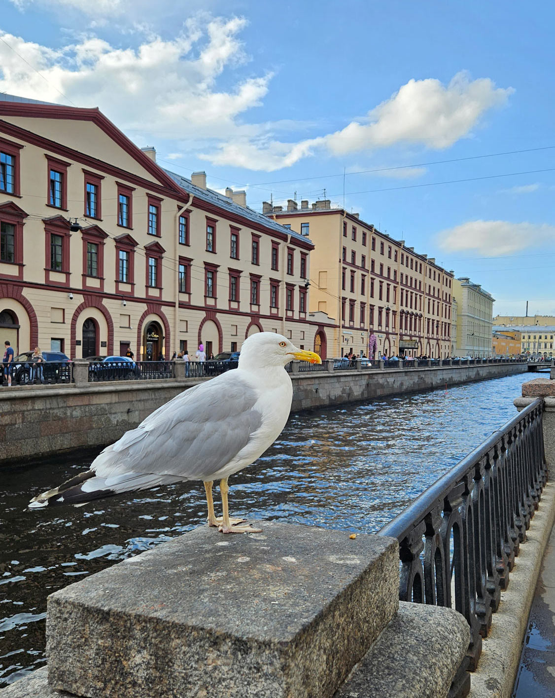 Гостиница в Петроградском районе